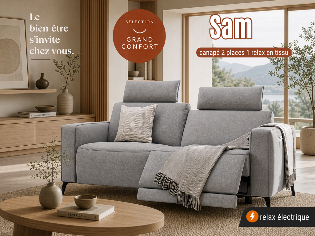 Canapé contemporain SAM